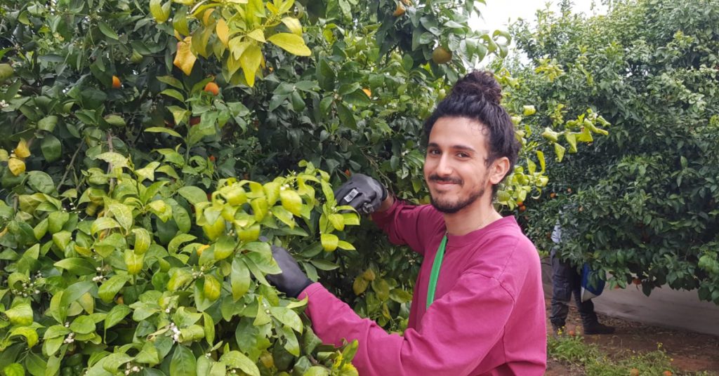 המכינה הקדם צבאית של בינ"ה מסייעת לחקלאים בעיצומו של משבר הקורונה