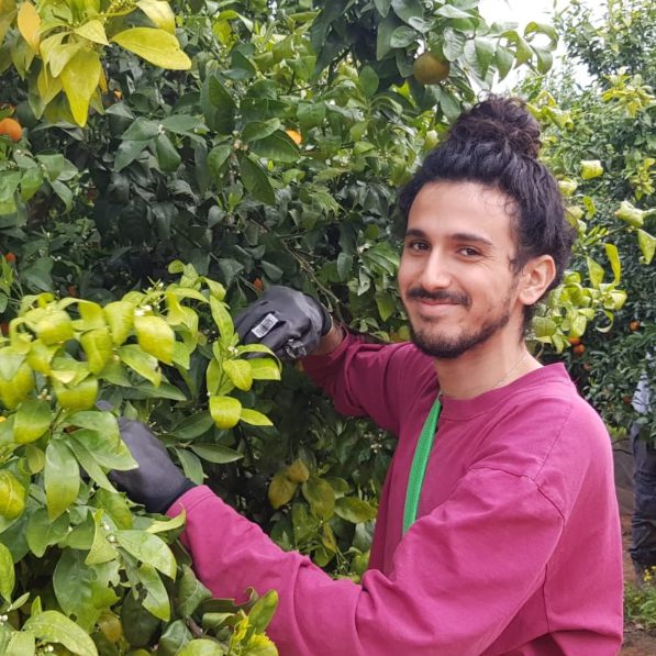 המכינה הקדם צבאית של בינ"ה מסייעת לחקלאים בעיצומו של משבר הקורונה
