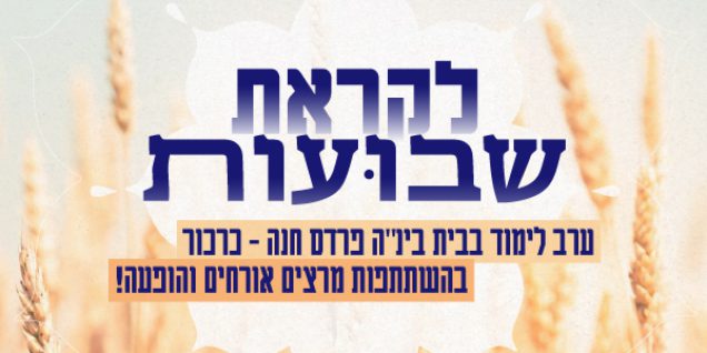 הדר הדר